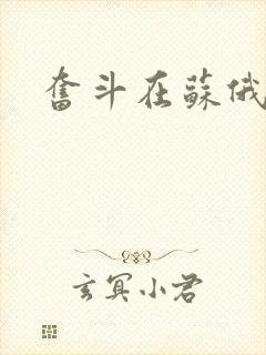 奋斗在苏俄封面