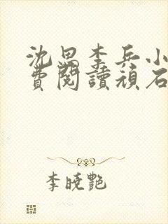 沈思李兵小说免费阅读顽石网封面