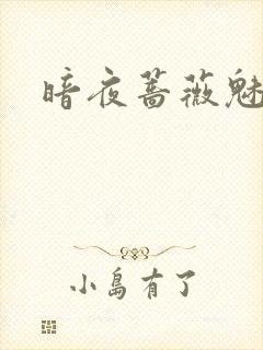 暗夜蔷薇魅封面