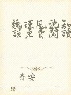 魏瑾风沈知玉小说免费阅读最新章节封面