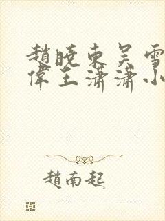 赵晓东吴雪晴郑伟王潇潇小说
