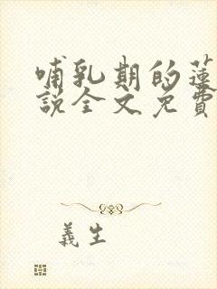 哺乳期的莲儿小说全文免费阅读