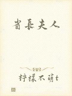 省长夫人