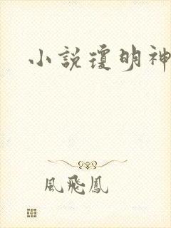 小说琼明神女录