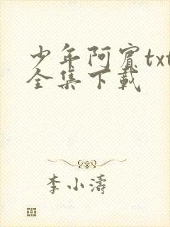 少年阿宾txt全集下载