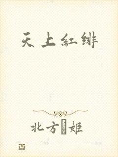 天上红绯封面