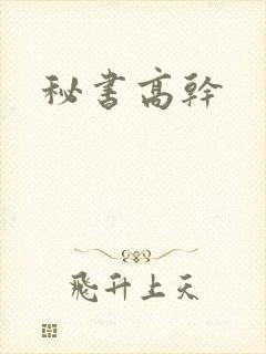 秘书高干