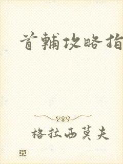 首辅攻略指南