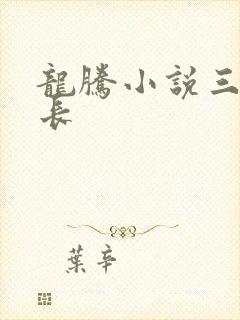龙腾小说三宝局长封面