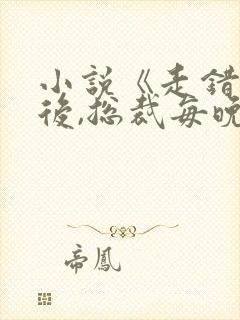 小说《走错房间后,总裁每晚都想招惹我》封面
