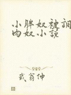 小胖奴被调教成肉奴小说封面