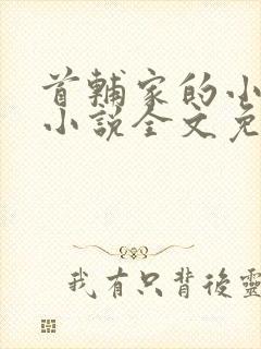 首辅家的小娇娘小说全文免费阅读