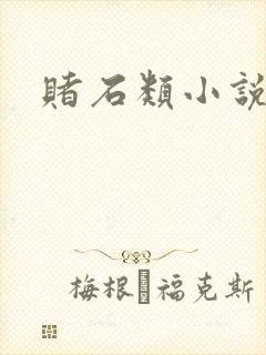 赌石类小说封面