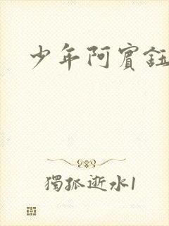 少年阿宾钰慧篇