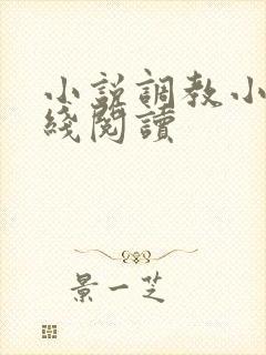 小说调教小说在线阅读