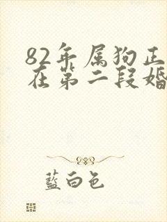 82年属狗正缘在第二段婚姻