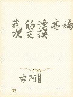 我的漂亮娇妻初次交换