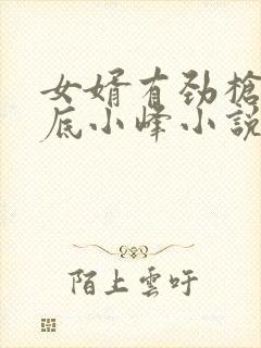 女婿有劲枪枪到底小峰小说