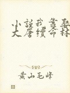 小说我靠娶妻为大唐续命林婉仙在线阅读