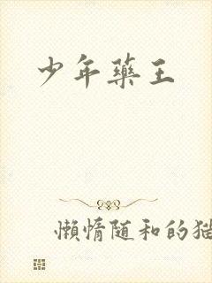 少年药王封面