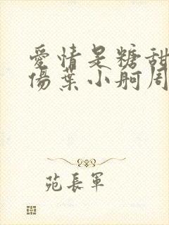 爱情是糖甜到忧伤叶小舸周樵樵