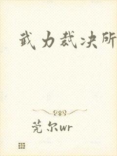 武力裁决所