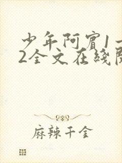 少年阿宾1一72全文在线阅读