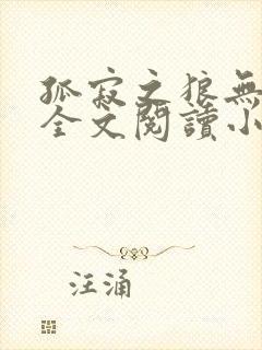 孤寂之狼无删减全文阅读小说
