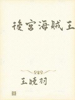 后宫海贼王