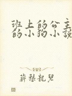 班上的公主是我的小狗小说免费阅读封面