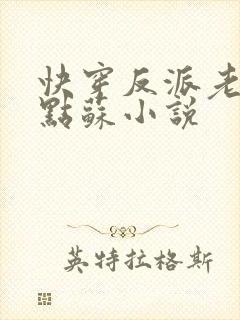 快穿反派老公有点苏小说封面
