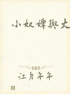 小奴婢与大少爷