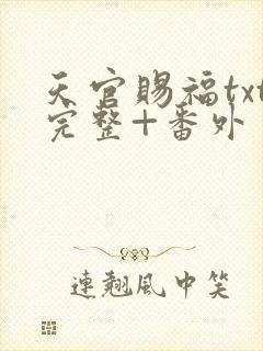 天官赐福txt完整+番外 txt下载
