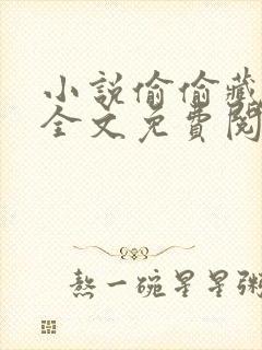 小说偷偷藏不住全文免费阅读全文