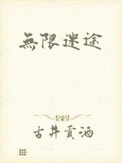 无限迷途封面