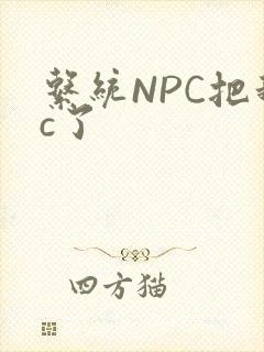系统NPC把我c了