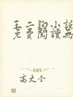 王二狗小说全文免费阅读无弹窗