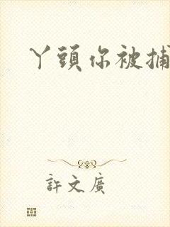 丫头你被捕了