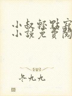 小叔轻点宠原著小说免费阅读