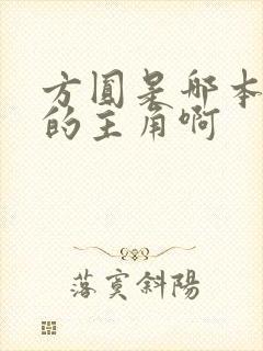 方圆是哪本小说的主角啊封面