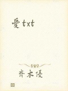 爱txt封面