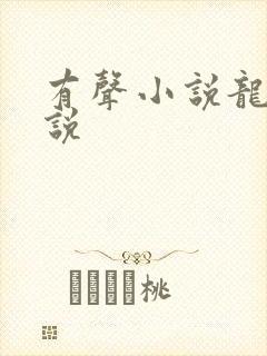 有声小说龙王传说