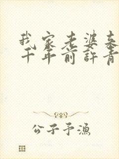我家老婆来自一千年前许青