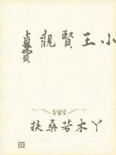 贞观贤王小说免费