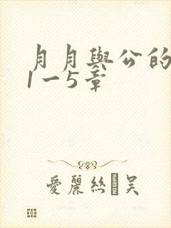 月月与公的激情1一5章封面