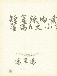 短篇辣肉黄辣放荡高h文小说