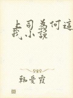 上司为何这样对我小说