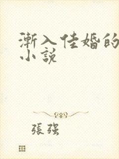 渐入佳婚的原著小说
