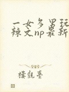 一女多男玩弄h辣文np最新章节