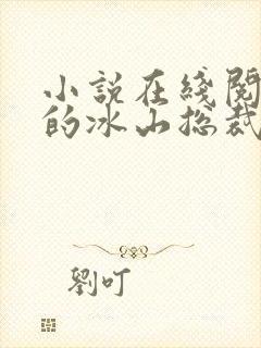 小说在线阅读我的冰山总裁老婆